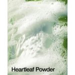 ANUA Heartleaf Quercetinol Pore Deep Cleansing Foam