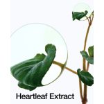 ANUA Heartleaf Pore Control Cleansing Oil