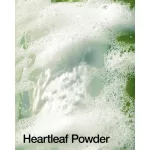 ANUA Heartleaf Quercetinol Pore Deep Cleansing Foam