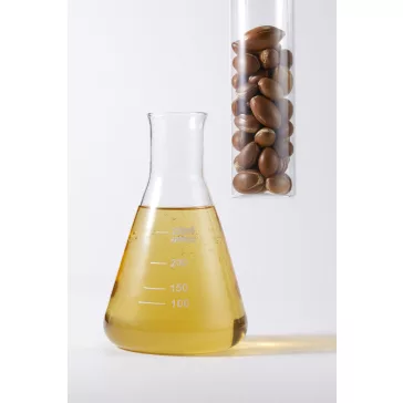   NATURE REPUBLIC Argan Essential mélytápláló hajkondícionáló argánolajjal - Közeli lejárat