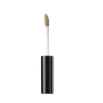 The Saem Cover Perfection Concealear 01